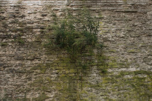 Old stone wall masonry texture background