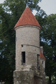 Old city historical street Tallinn Estonia