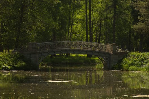 Bridge in the forest. Nature landscape