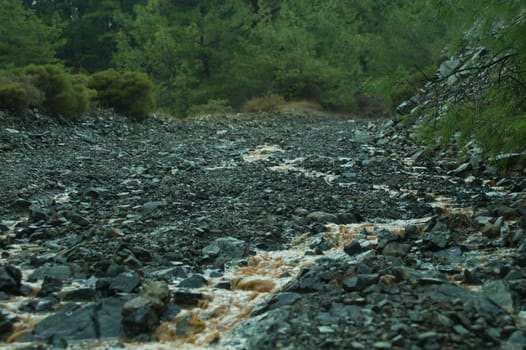 Mountain dirt road with a creek