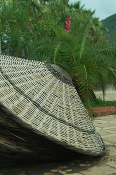 Beach wicker straw umbrella background