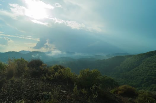 Mountain landscape with forest background