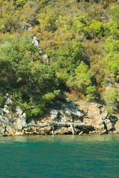 Mountain and sea coastline background