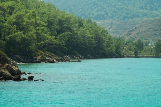 Mountain and sea coastline background