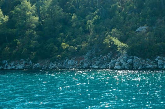 Mountain and sea coastline background