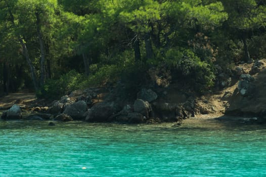 Mountain and sea coastline background