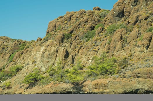 Overgrown mountain. rocky cliff background