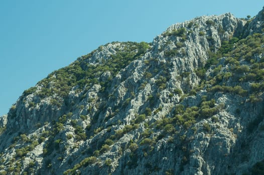 Overgrown mountain hills background
