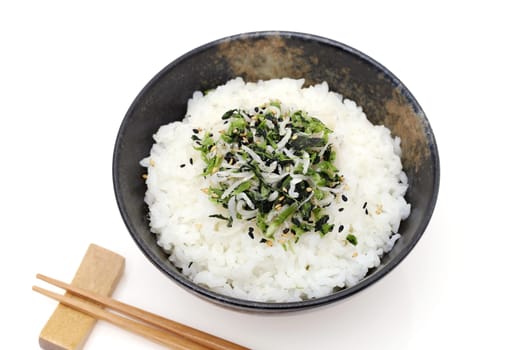 Japanese food, Shirasu and takana vegetable on cooked white rice