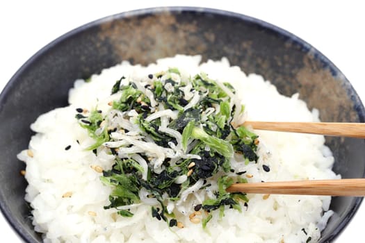 Japanese food, Shirasu and takana vegetable on cooked white rice