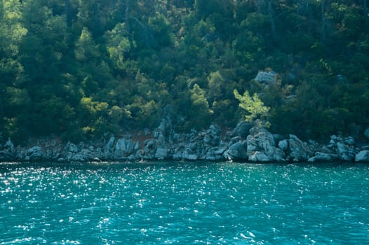 Mountain and sea coastline background