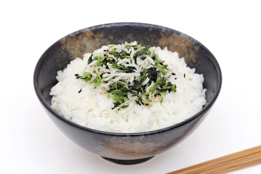 Japanese food, Shirasu and takana vegetable on cooked white rice