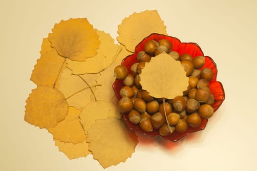 Hazelnuts in a bowl with leaves. autumn background