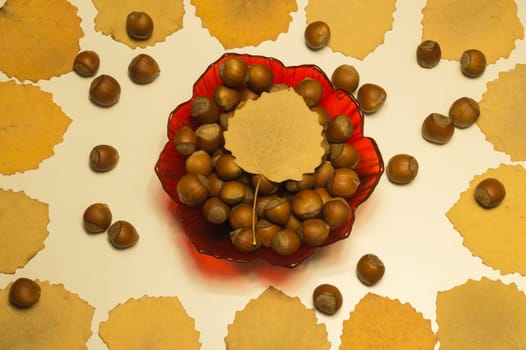 Hazelnuts in a bowl with leaves. autumn background