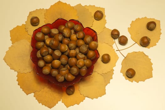 Hazelnuts in a bowl with leaves. autumn background