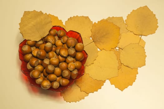Hazelnuts in a bowl with leaves. autumn background