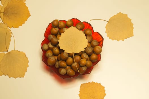 Hazelnuts in a bowl with leaves. autumn background
