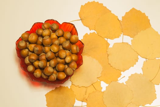 Hazelnuts in a bowl with leaves. autumn background