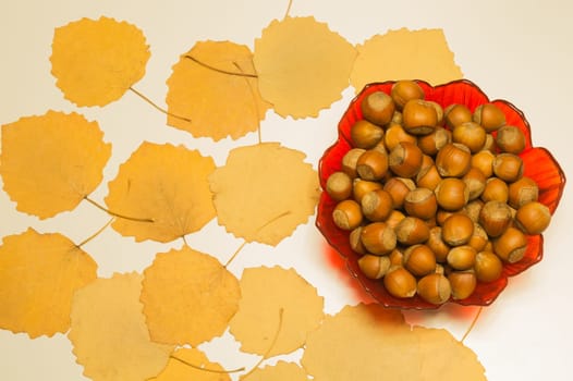 Hazelnuts in a bowl with leaves. autumn background