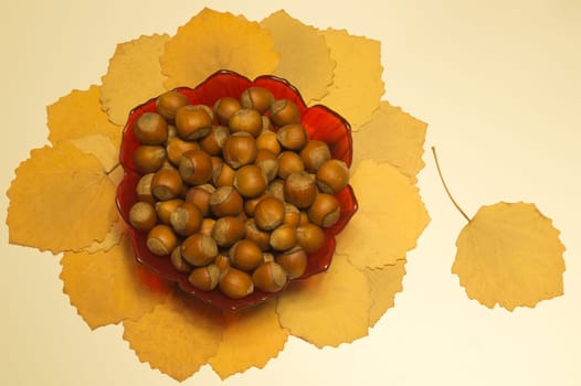 Hazelnuts in a bowl with leaves. autumn background