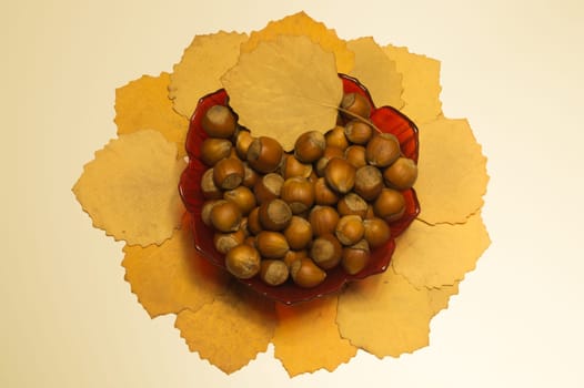 Hazelnuts in a bowl with leaves. autumn background