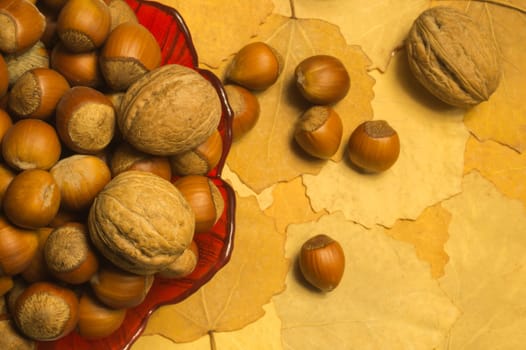 Hazelnuts and walnuts with autumn leaves background