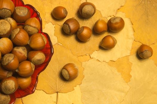 Hazelnuts with autumn leaves background