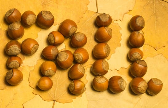 Hazelnuts with autumn leaves background