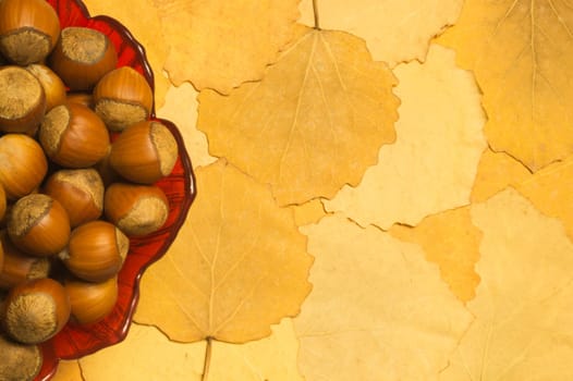 Hazelnuts with autumn leaves background. copy space