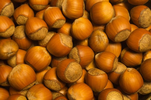 Hazelnuts texture background. filbert. nuts macro
