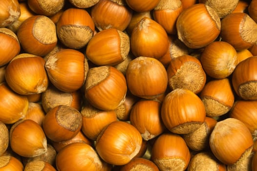 Hazelnuts texture background. filbert. nuts macro