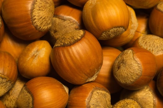 Hazelnuts texture background. filbert. nuts macro