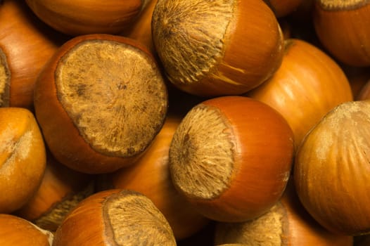Hazelnuts texture background. filbert. nuts macro