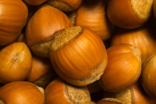 Hazelnuts texture background. filbert. nuts macro