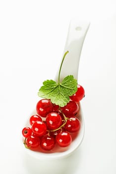 Fresh red currant berries with leaf on white background close up