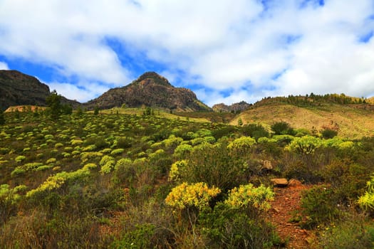 Fataga is a municipality on the island of Gran Canaria