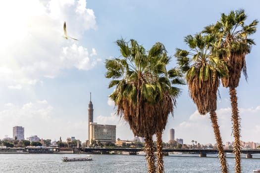 Cairo Tower and the Nile, city view in Egypt.