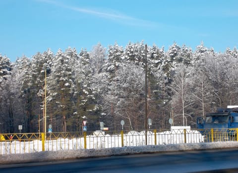 Winter forest beside the road on a clear sunny day.