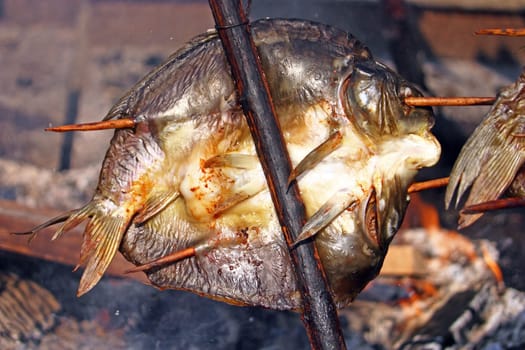 Roasting carp on a fire at a festival, carp on the jaw