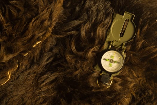 Modern metal compass on the fur background