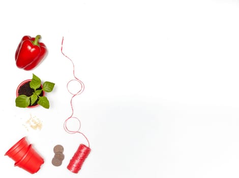 Seeds, young seedlings and fresh peppers on a white background. Top view with copy space. Concept of spring gardening, vegetable growing, agriculture and harvest