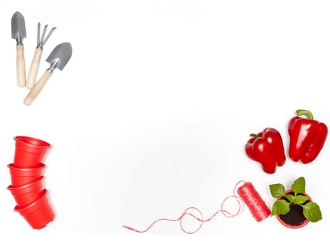 Gardening tools, young seedlings and fresh peppers on a white background. Top view with copy space. Concept of spring gardening, vegetable growing, agriculture and harvest