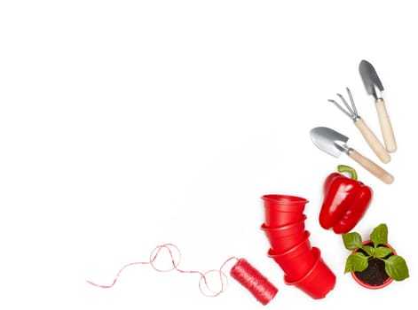 Gardening tools, young seedlings and fresh peppers on a white background. Top view with copy space. Concept of spring gardening, vegetable growing, agriculture and harvest