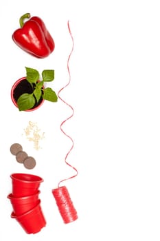 Seeds, young seedlings and fresh peppers on a white background. Top view with copy space. Concept of spring gardening, vegetable growing, agriculture and harvest