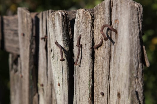 Part of the old worn-out wooden fence with rusty nails sticking out/&#208 &#161 loseup of old fence with nails