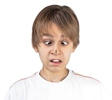 Boy with a Bee on His Nose. On a white background.