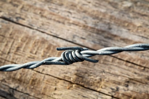 a detail of a barbed wire
