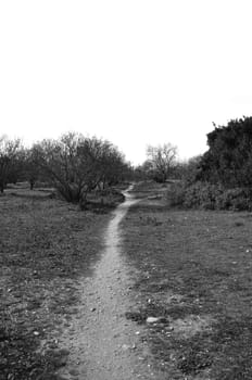 Crooked trail footpath through park. Black and white.