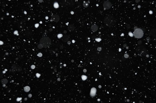 Snow falling on dark winter night. Abstract snowflakes background blur.