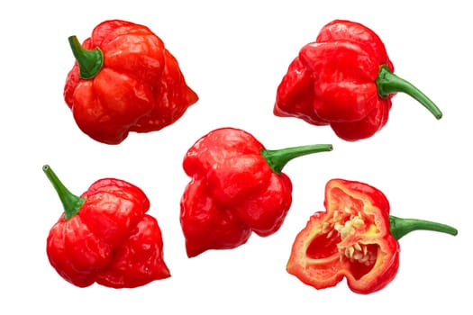 Trinidad Scorpion chile peppers (Capsicum chinense fruits), whole and half ripe pods